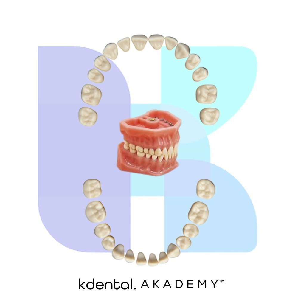 A3 Tooth | K-Dental