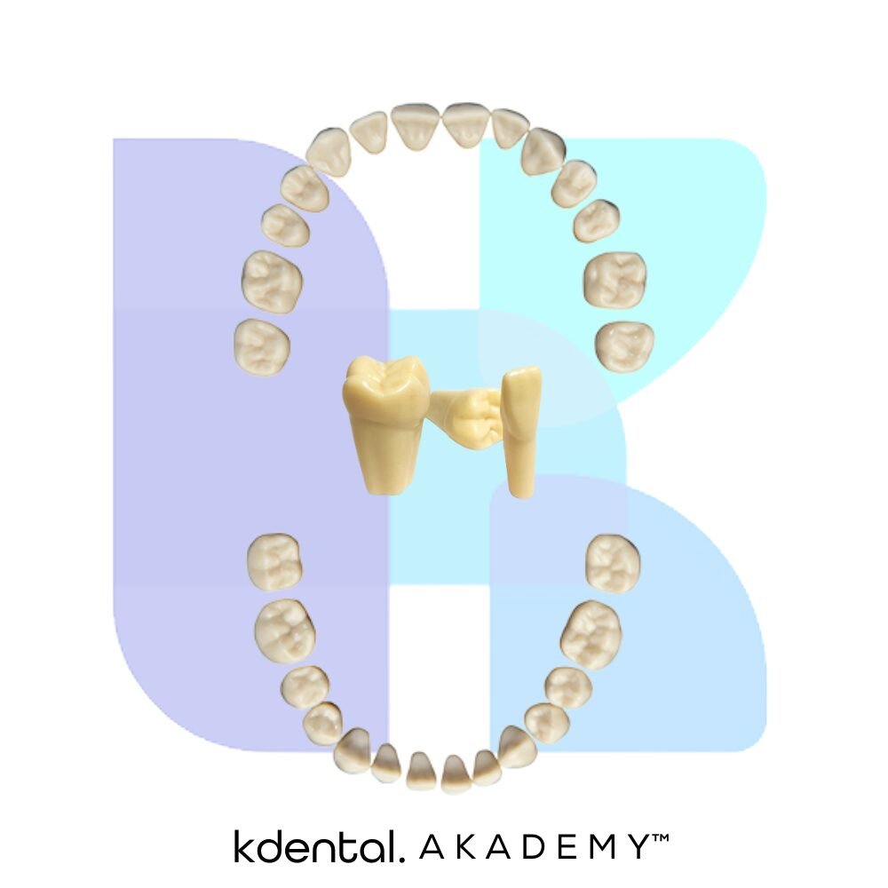 AG3 Tooth | K-Dental